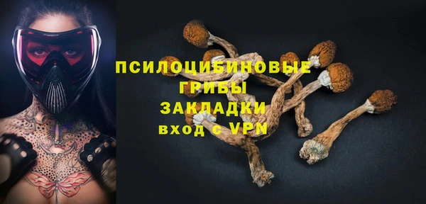 стаф Пересвет