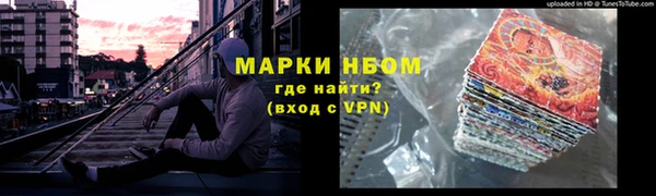 стаф Пересвет