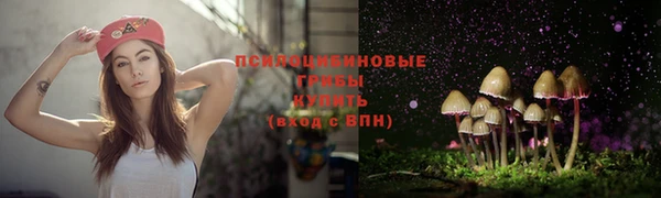 стафф Пестово