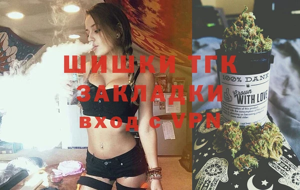 стаф Пересвет