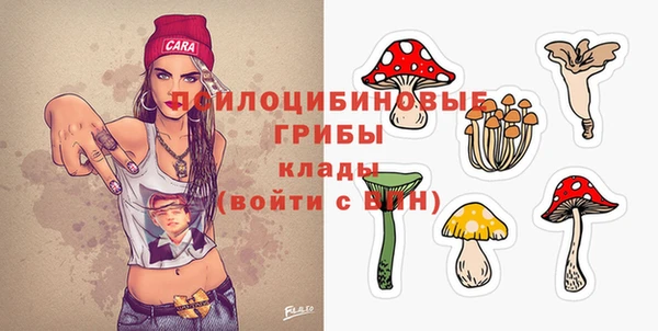 стаф Пересвет
