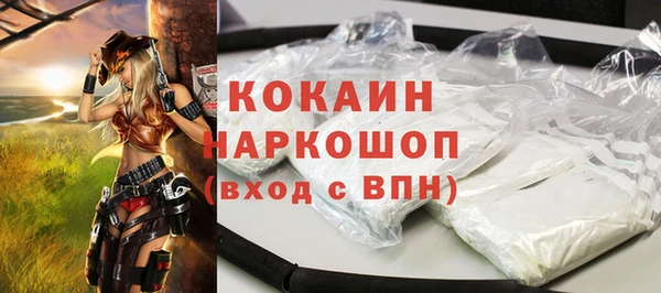 стаф Пересвет