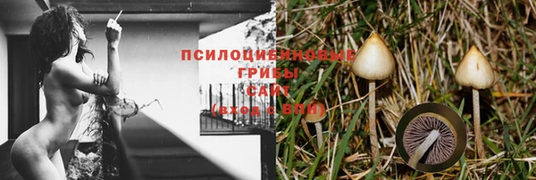 стафф Пестово
