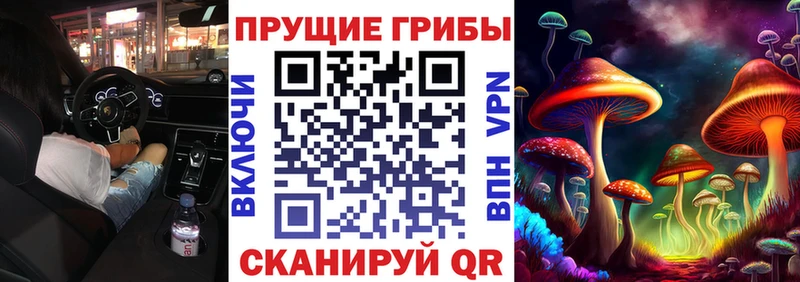 купить наркотики сайты  Дзержинск  Псилоцибиновые грибы прущие грибы 