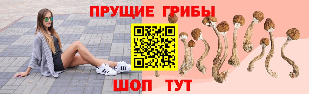 где продают   Галлюциногенные грибы мухоморы  Вход с VPN  Дзержинск  Псилоцибиновые грибы прущие грибы 